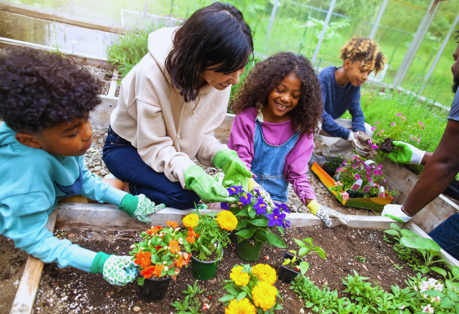 Community gardening